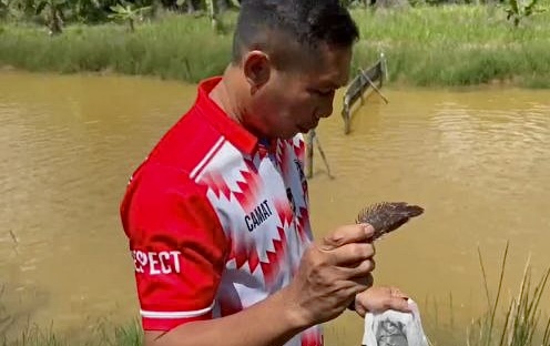 Mentaya Hilir Utara