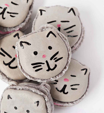 cat Christmas cookie recipes