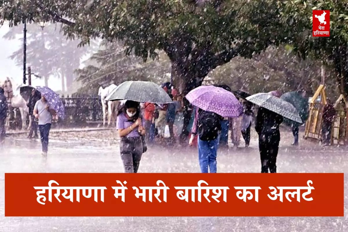 haryana weather alert, Haryana Rain Alert Today