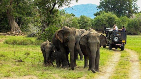 best tourist places in kerala for family