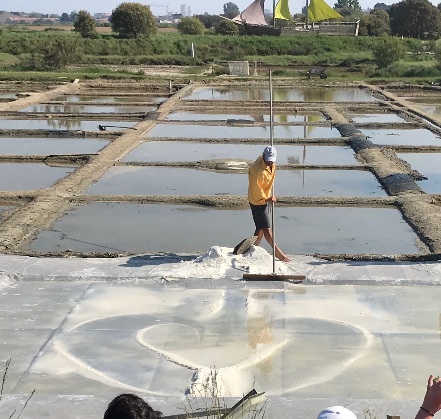 Les « Je Dis » Meravenir, voyage au pays du sel et du plancton.