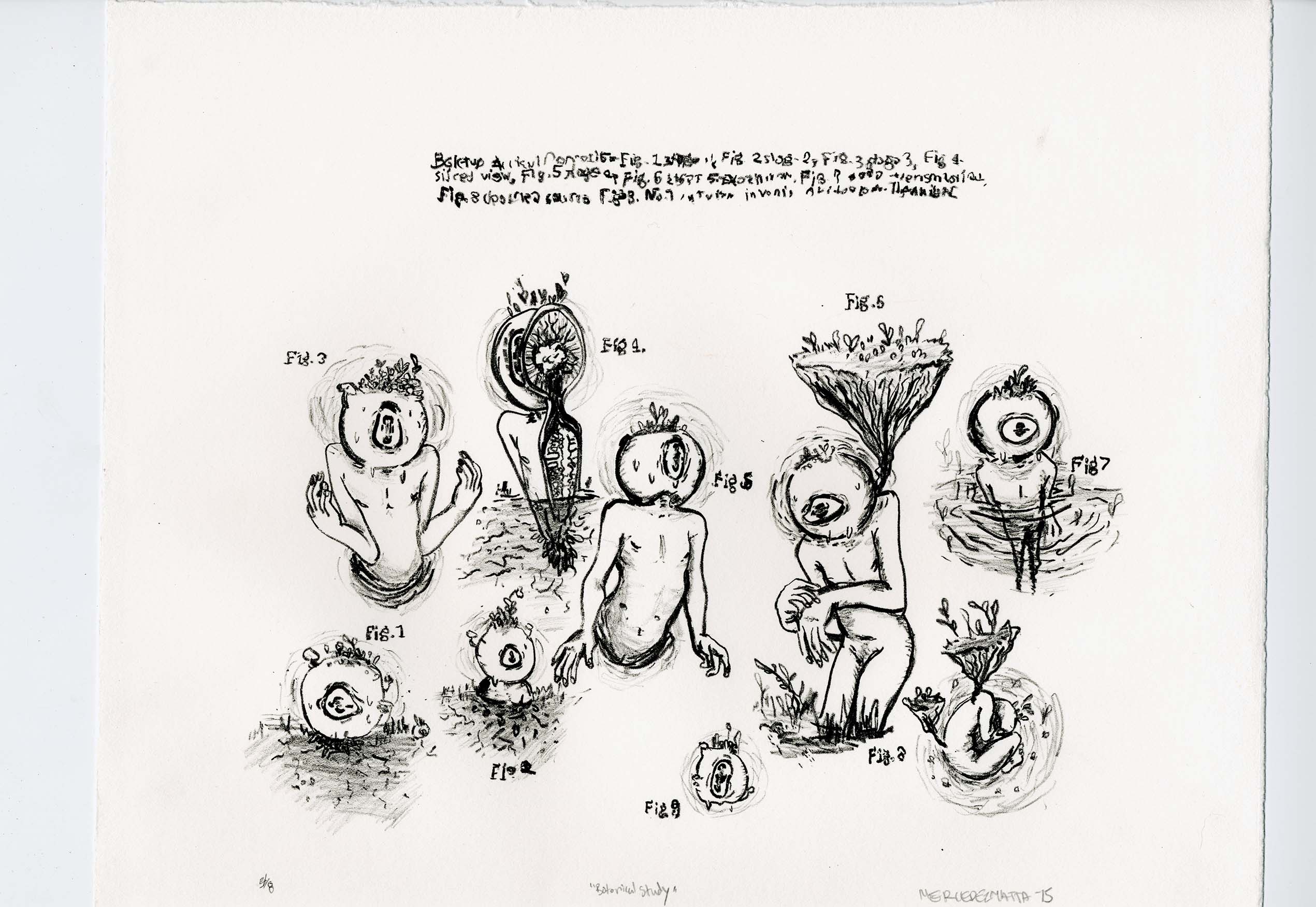 “Botanical Study”, Lithography, 15×12 ¼”, 2015