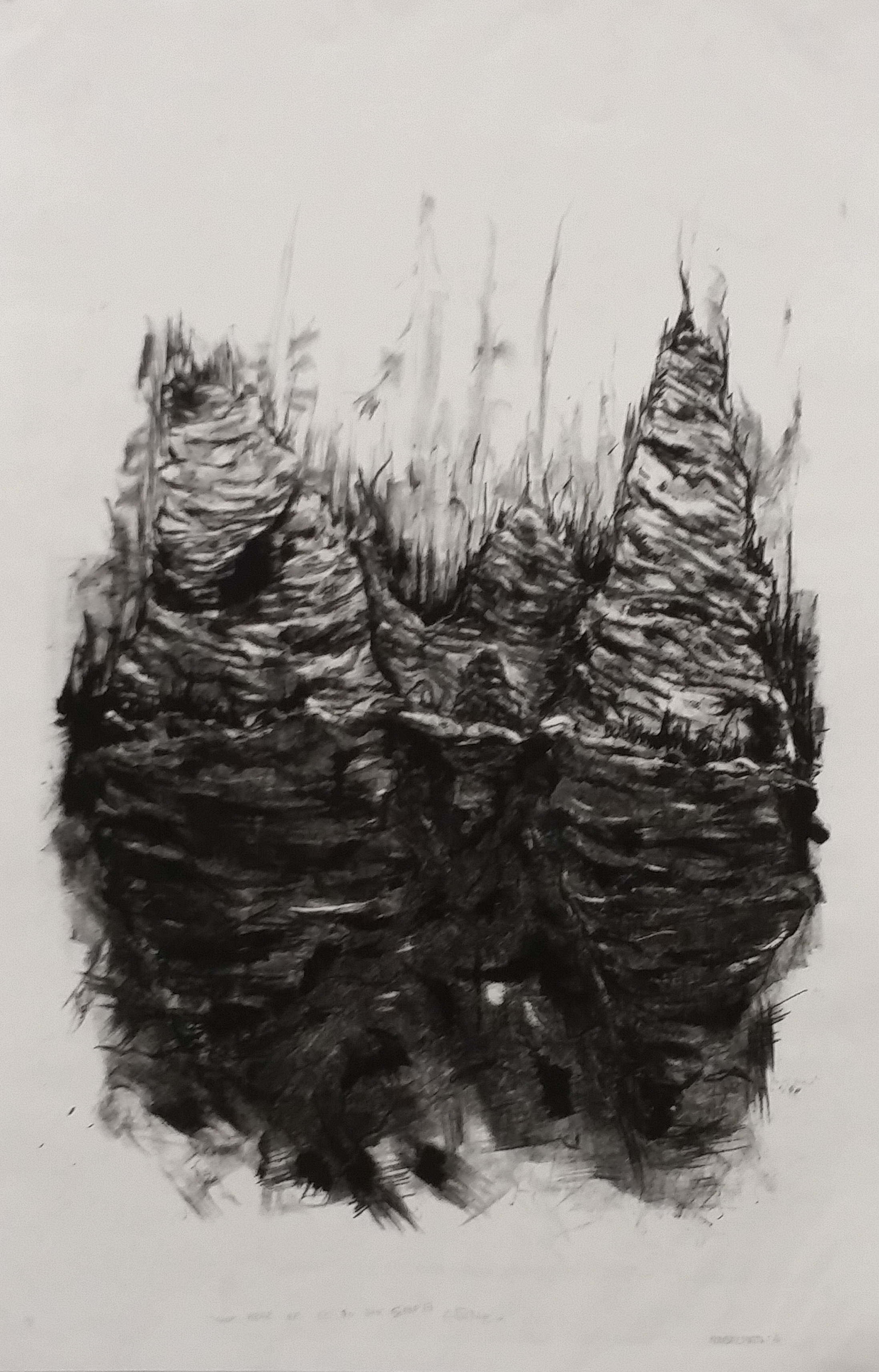 “From Here We Go To The Safe Zone”, Lithography, 23 ¾”x35 ¾”, 2016