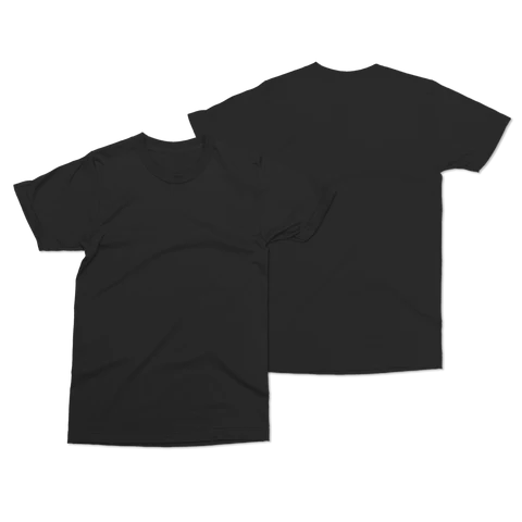 The New Pornographers Ambient Inks