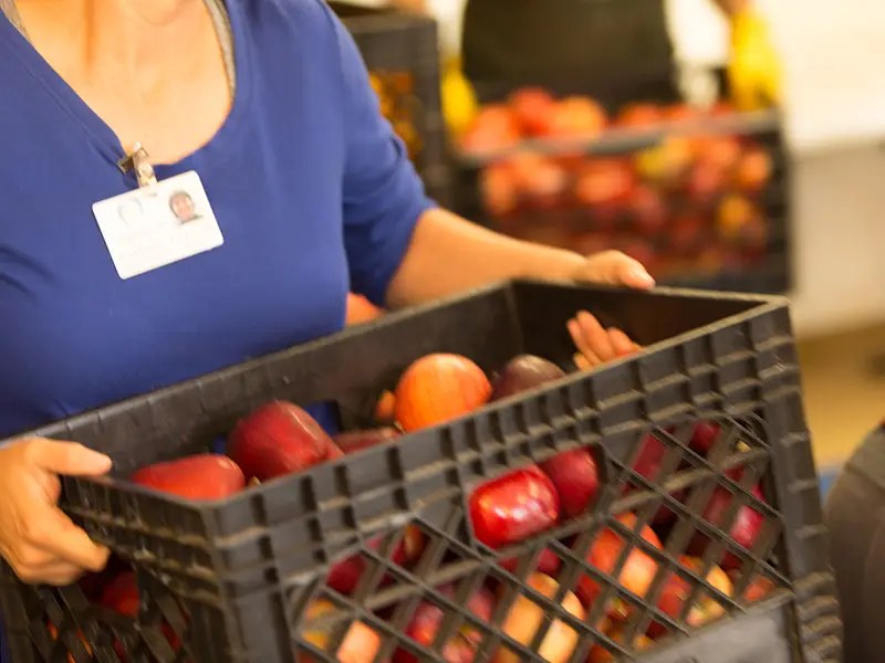 Person carrying a black plastic crate filled with apples. The individual wears a blue shirt and a visible ID badge. Other crates of apples are seen in the background.
