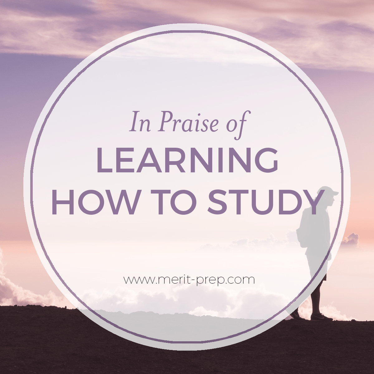 In Praise of Adversity: Learning How to Study