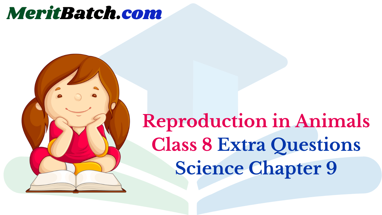Reproduction in Animals Class 8 Extra Questions Science Chapter 9
