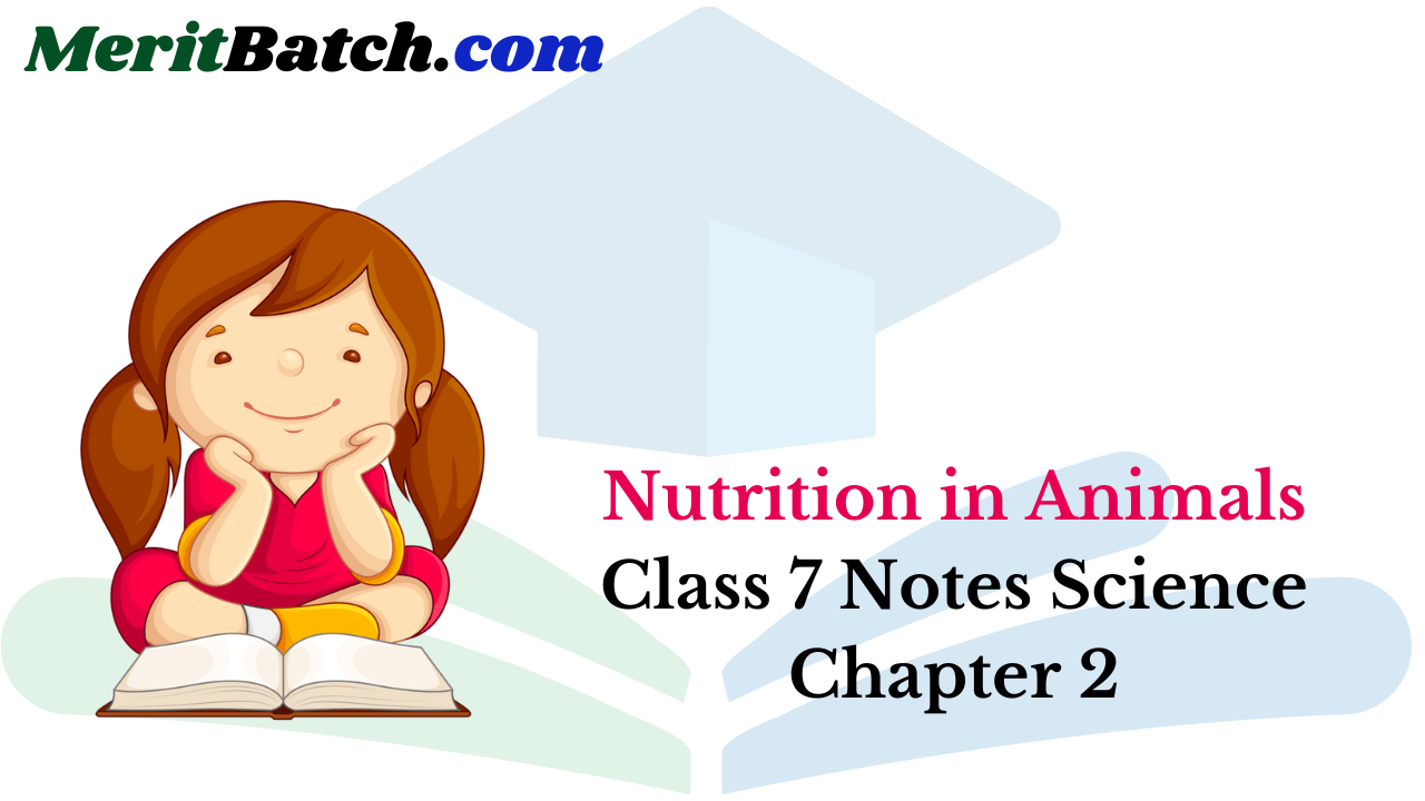 Nutrition in Animals Class 7 Notes Science Chapter 2 – Merit Batch