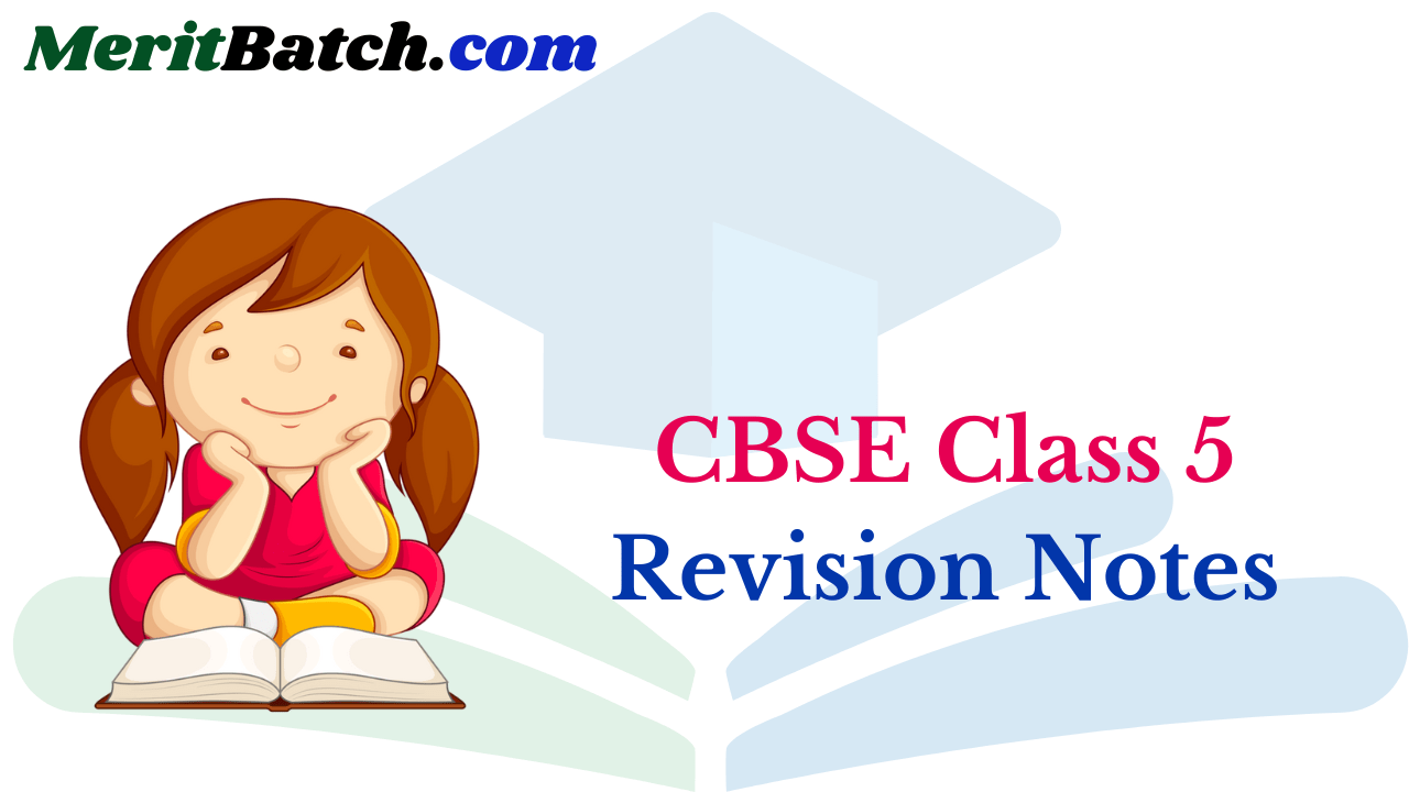 CBSE Class 5 Revision Notes