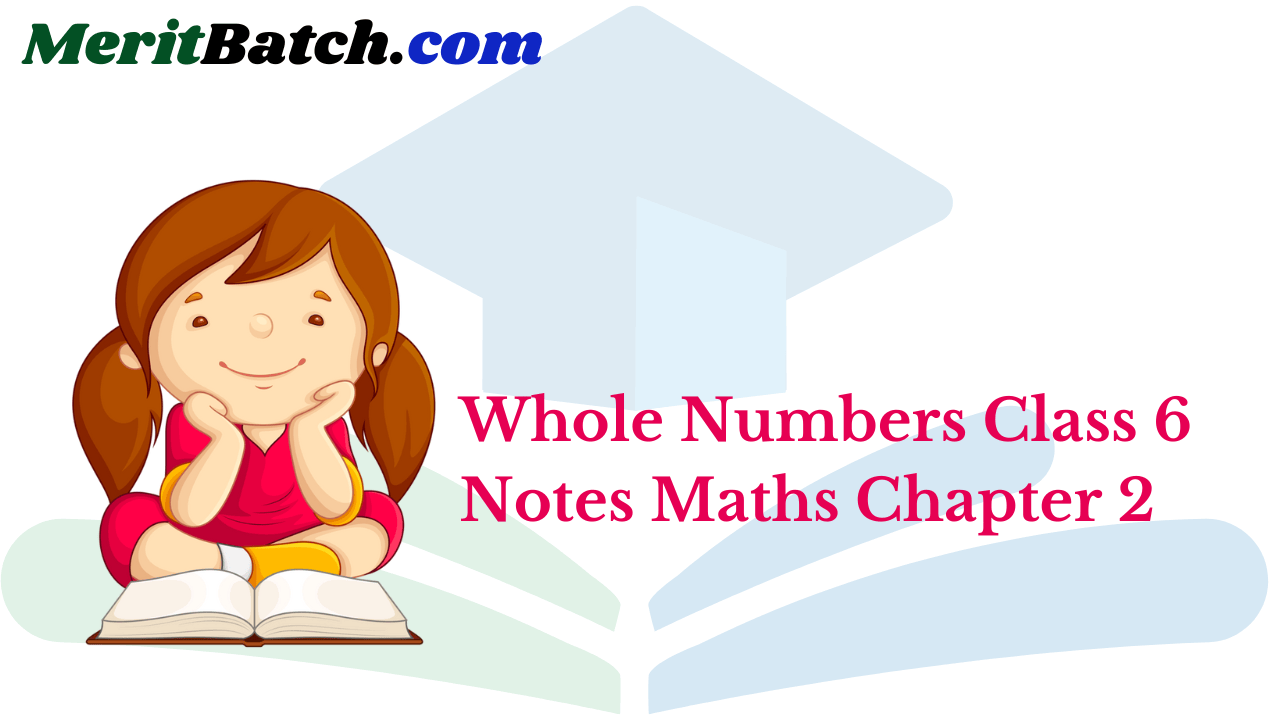 Whole Numbers Class 6 Notes Maths Chapter 2