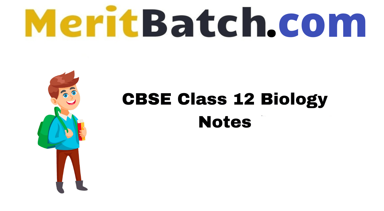 CBSE Class 12 Biology Notes