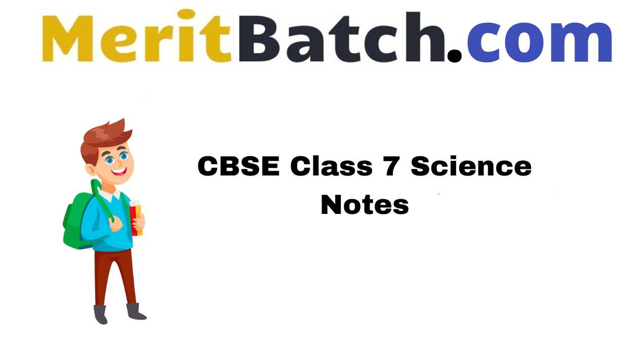 CBSE Class 7 Science Notes