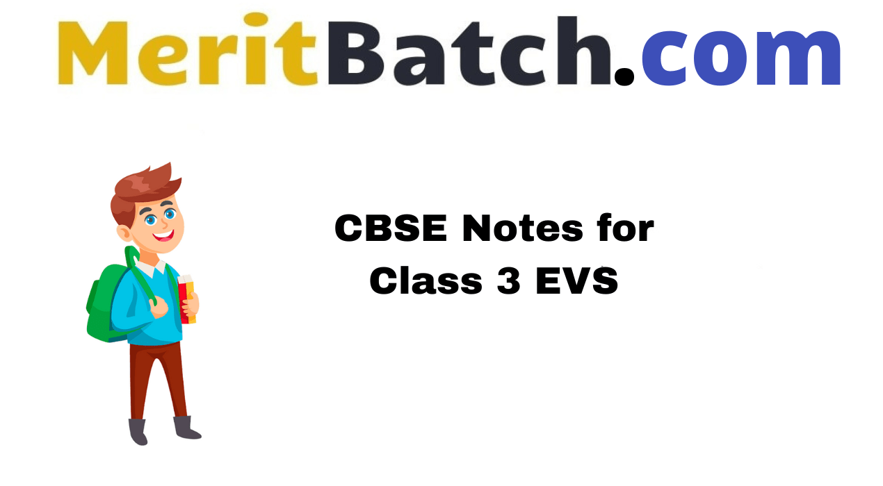 CBSE Notes for Class 3 EVS
