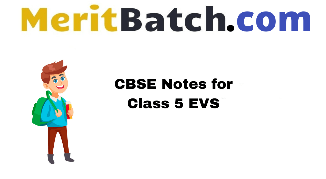CBSE Notes for Class 5 EVS