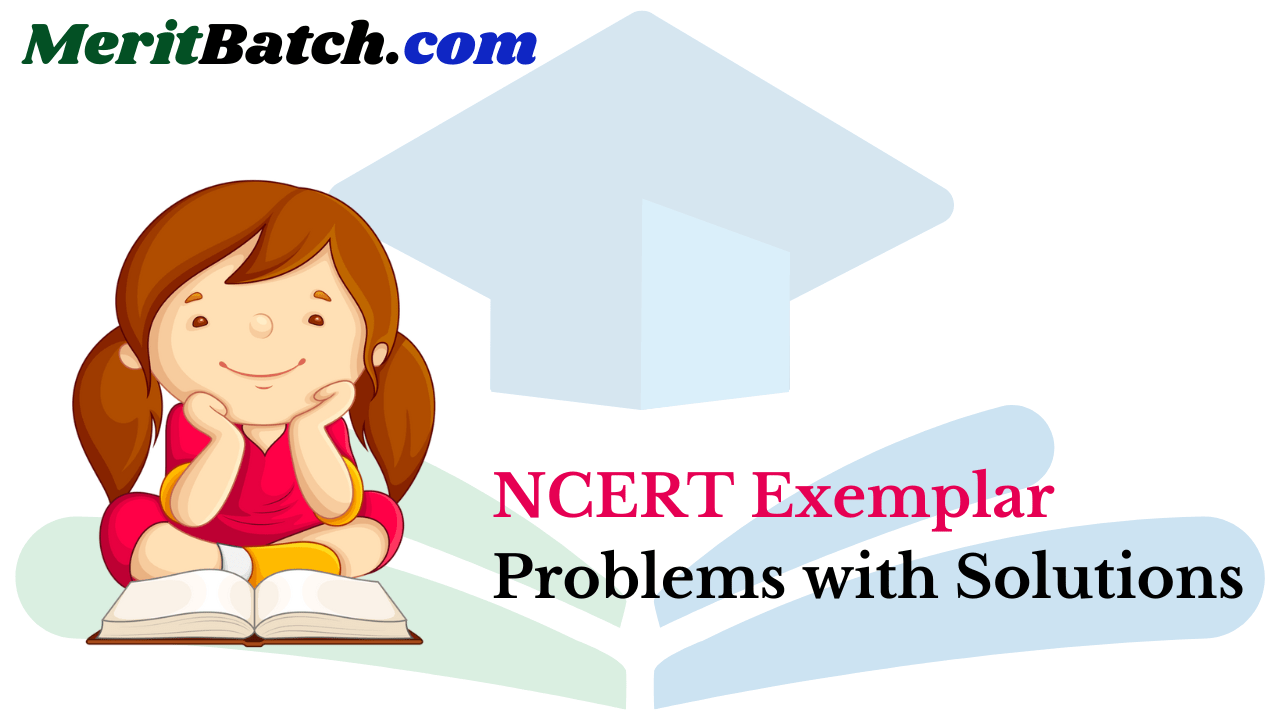 NCERT Exemplar Problems with Solutions