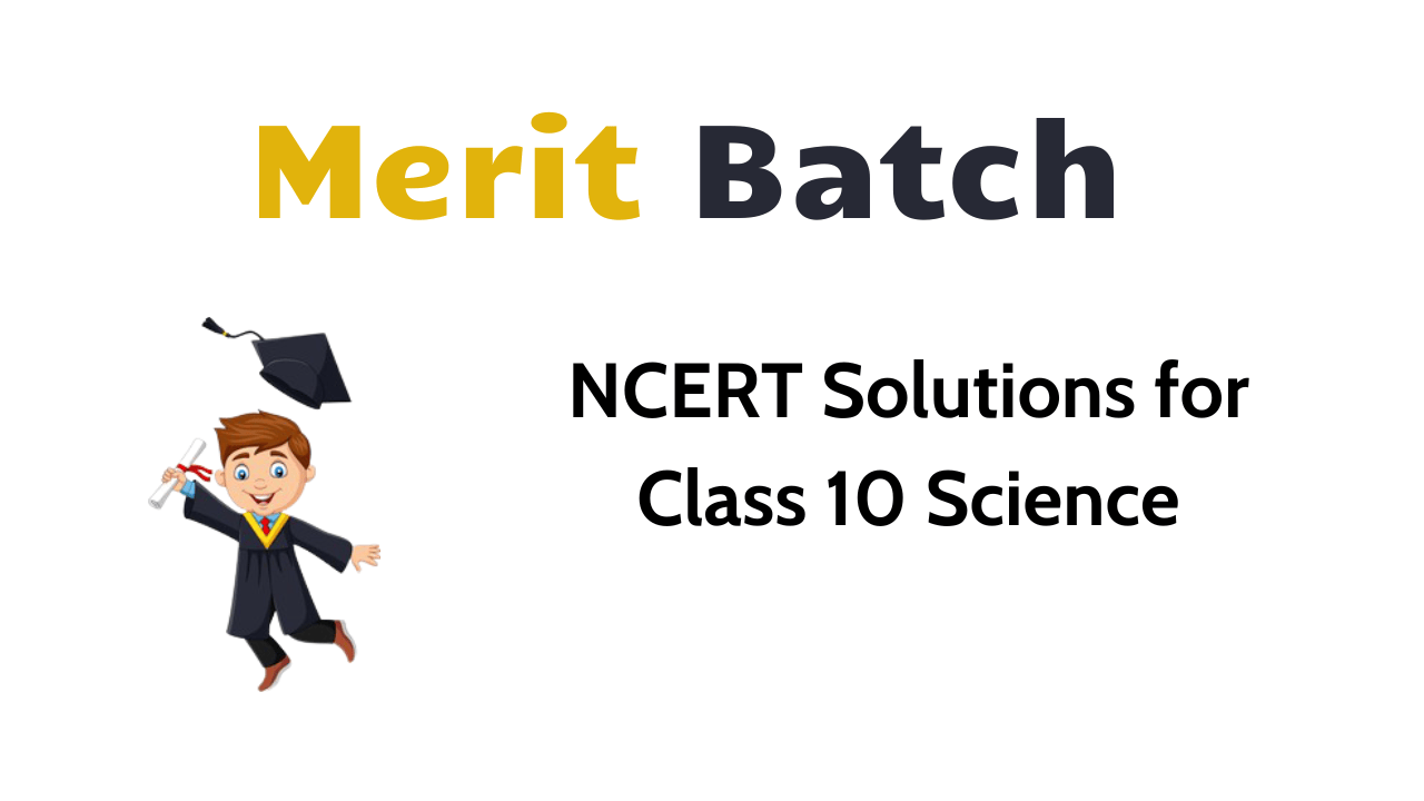 NCERT Solutions for Class 10 Science