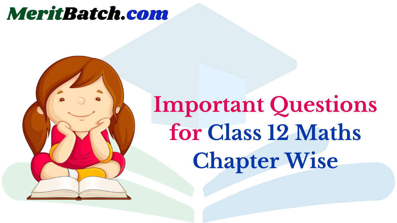 Important Questions for Class 12 Maths Chapter Wise