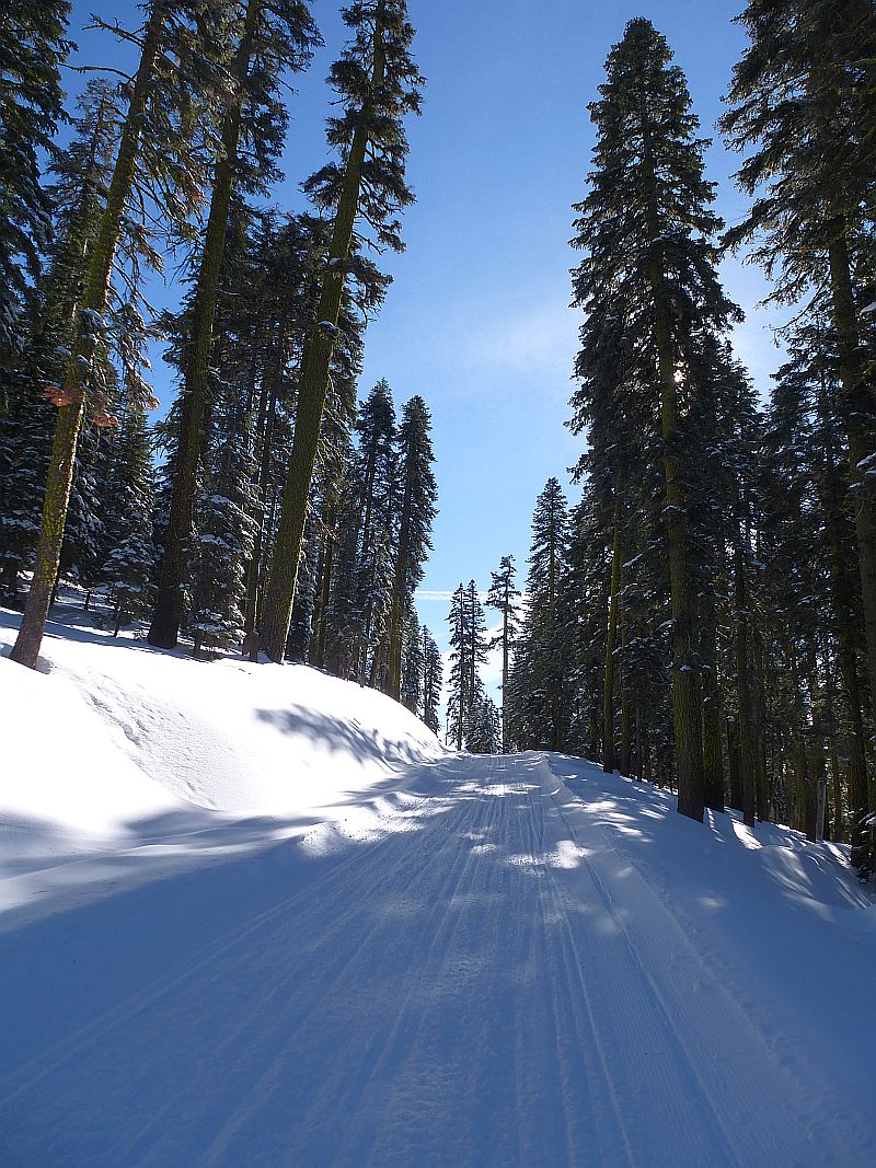 Ride and pics of the week