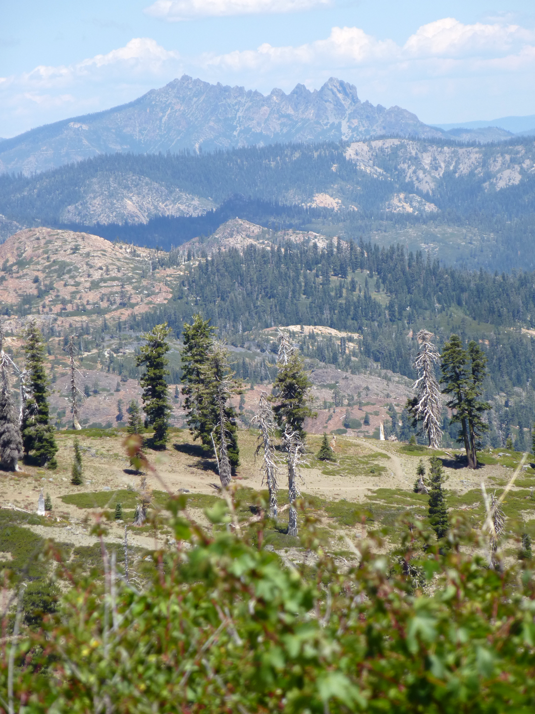 Grouse Ridge beatdown – Meriwether Cycles
