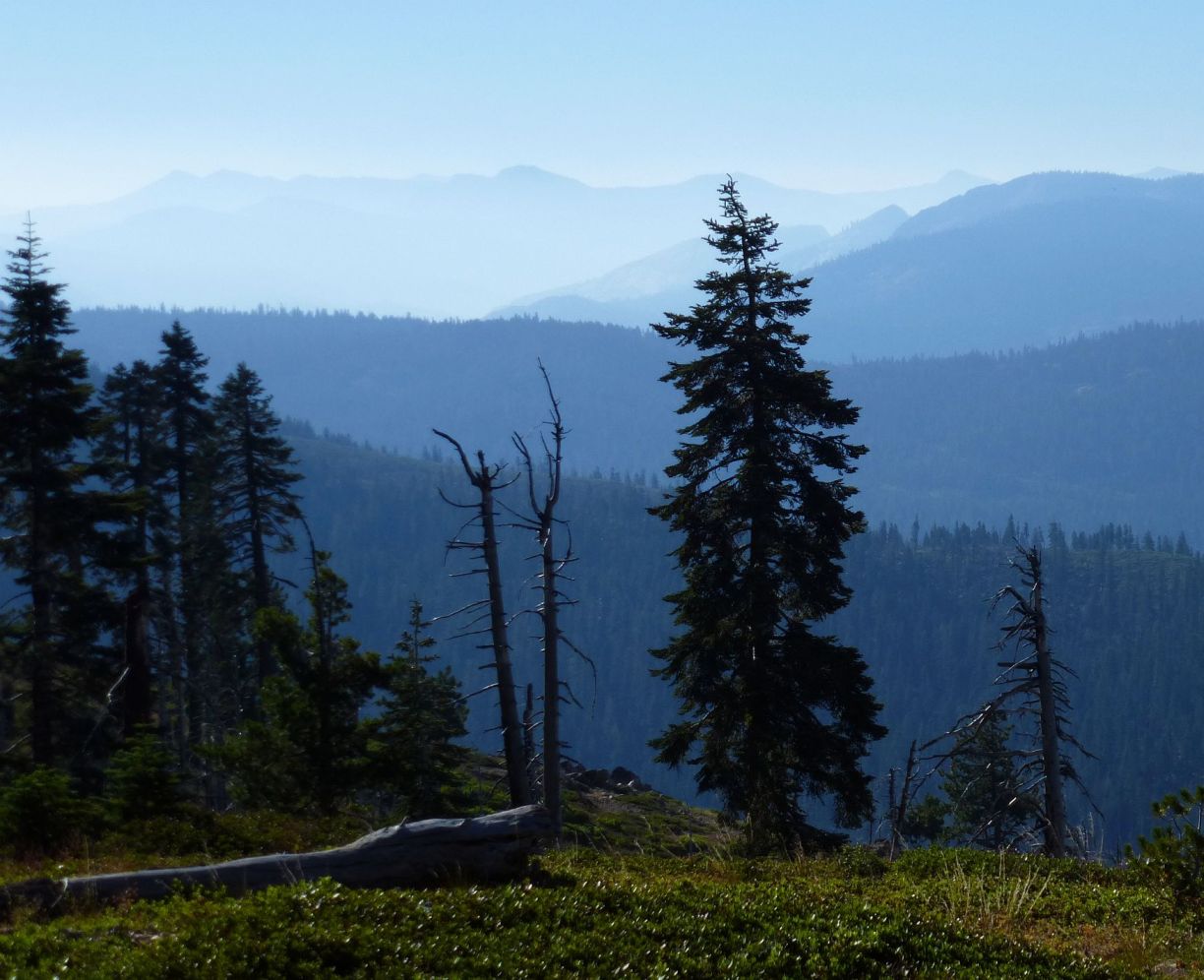 Sunday ride: CSTR navigation loop
