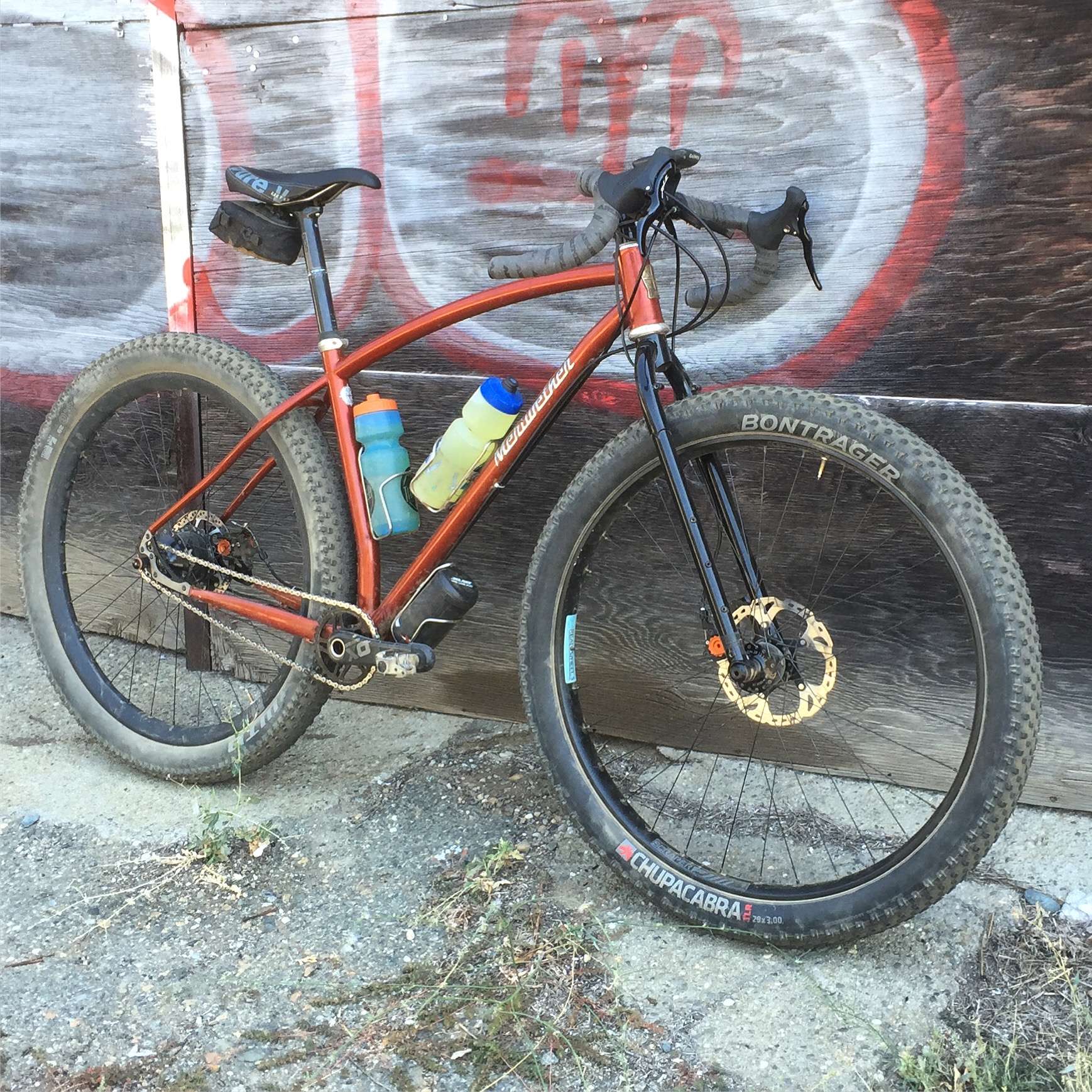 Rohloff 29+ dirtdrop