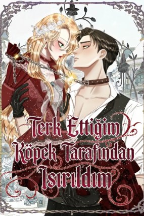 Terk Ettiğim Köpek Tarafından Isırıldım