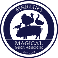 Merlin's Magical Menagerie LLC Logo