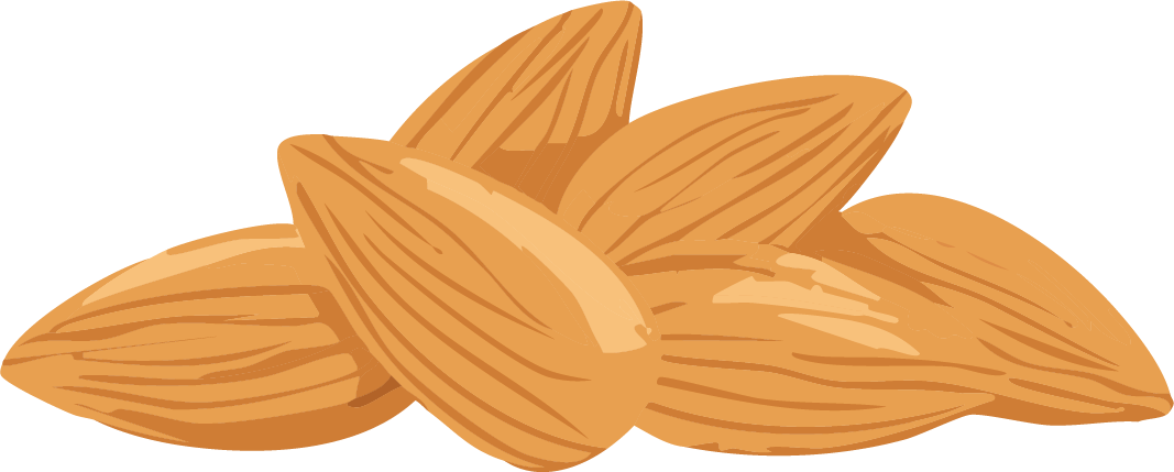 pile of toasted almonds illustration