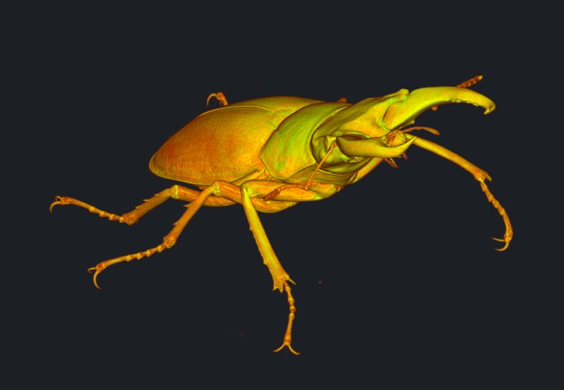 Meshlib Documentation Viewer Example - Premium Colorful Design Gallery - Full HD