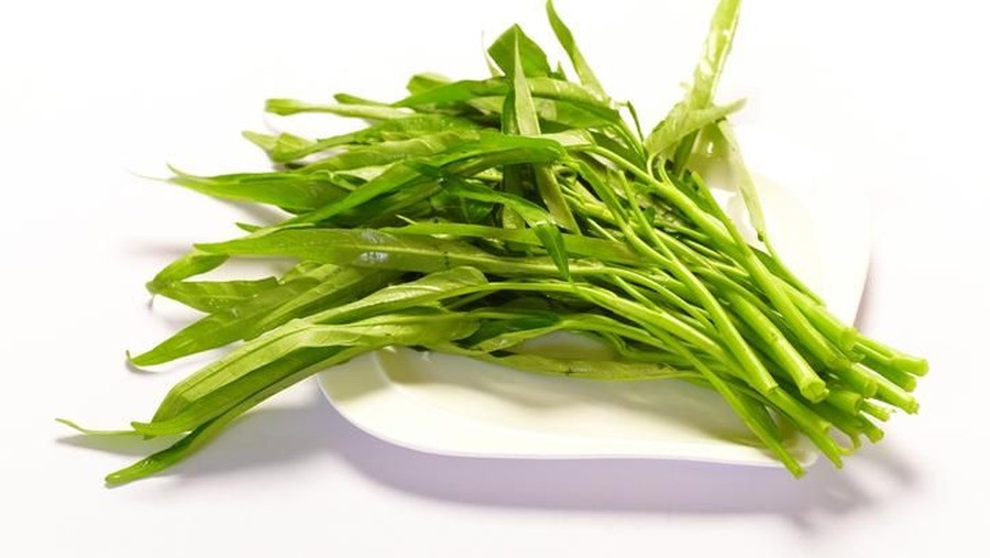 Cara membudidayakan kangkung dalam polybag. Cara Menanam Kangkung Supaya Hasil Panen Melimpah