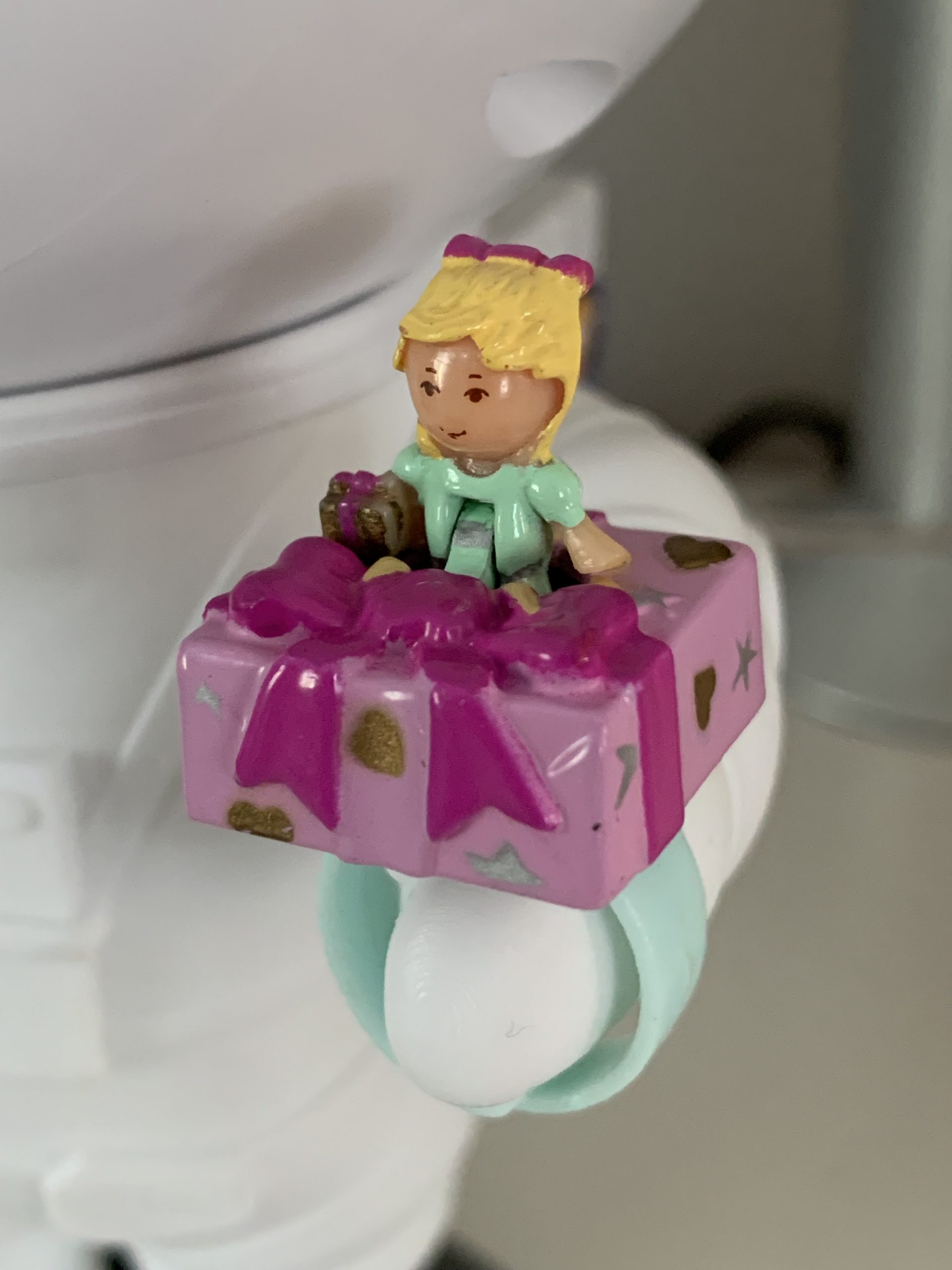 Polly's Birthday Surprise