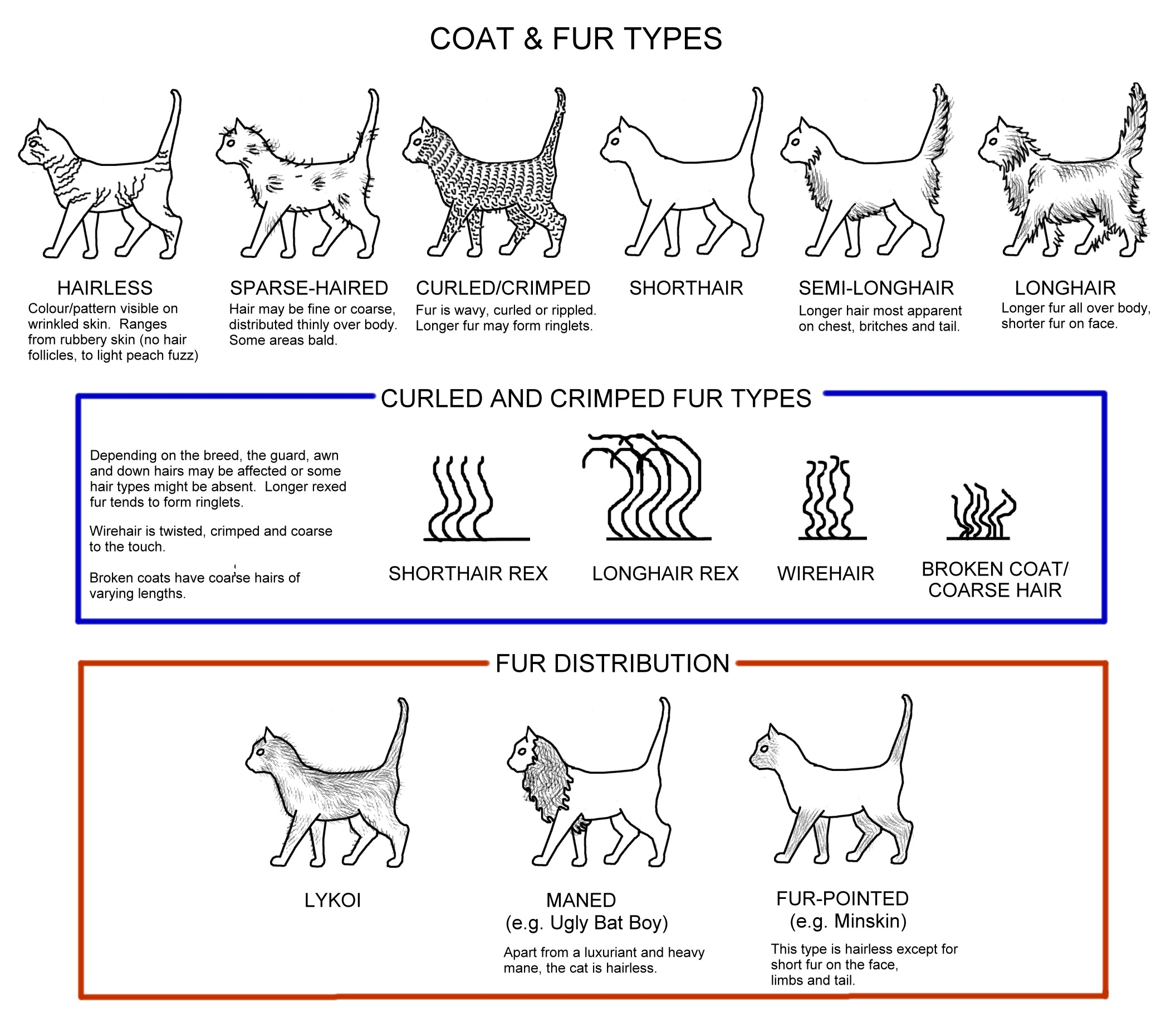 Conformation charts