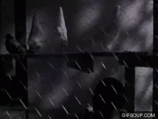 images Its Angel Dust Homes Gif sherdog forums ufc mma