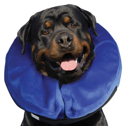 Collar isabelino inflable CLOUD