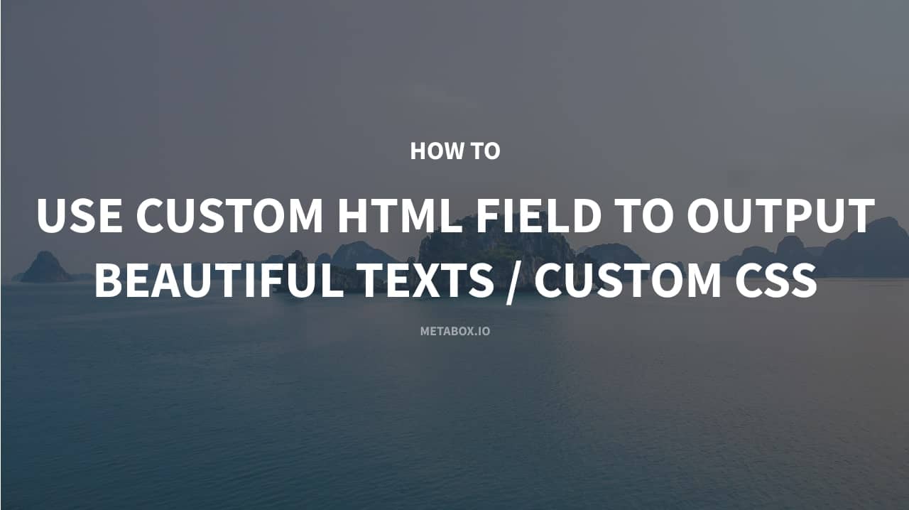How to Use Custom HTML Field to Output Beautiful Texts or Output Custom ...