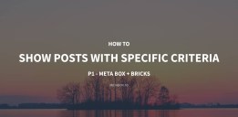 How to show posts with specific criteria p1 using meta box and bricks