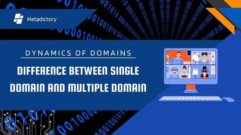 Dynamics of Domains: Difference between Single Domain and Multiple Domain difference between single domain and multiple domain