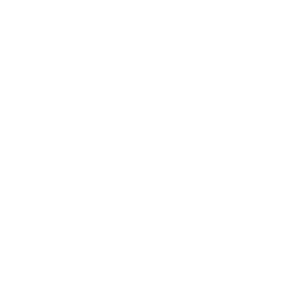 icona programmazione pro