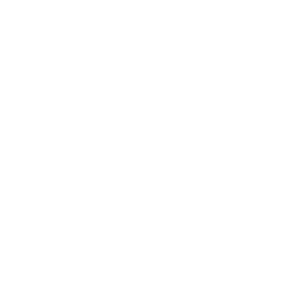 icona ottimizzazione seo