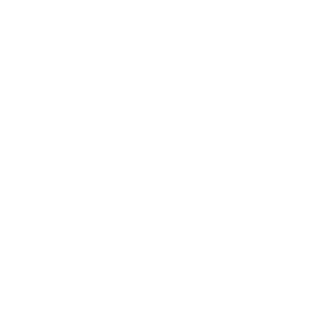icona email professionale