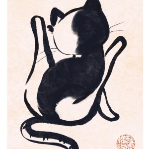 Black-and-White Cat Postcard