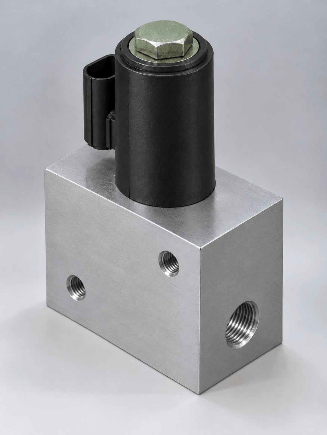 Elettrovalvola Progettata per funzionare alla massima pressione del serbatoio, l'elettrovalvola è un dispositivo elettromeccanico complesso in grado di gestire la portata massima dell'impianto e di funzionare a 12/24 V.