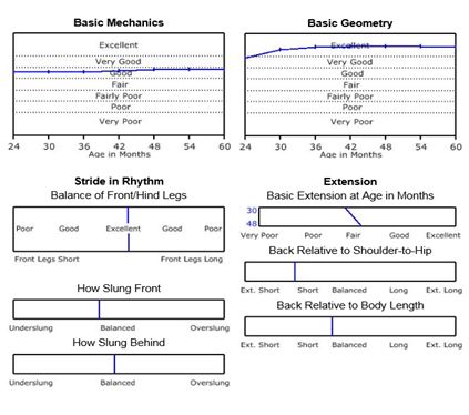 Metrics Equine - Best Ocean Textures in 4K