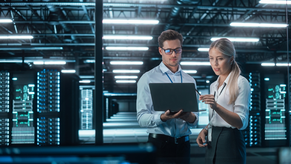 flexera services
