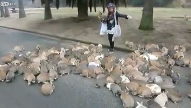 Rabbit Attacks Youtube - Creative Ocean Illustration - High Resolution