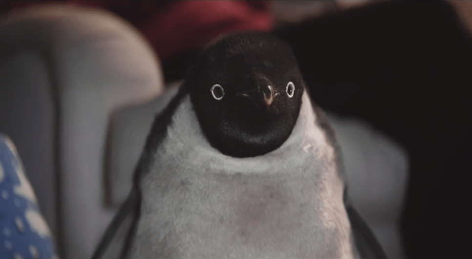 The John Lewis Christmas advert 2014 Cry or cringe the most important