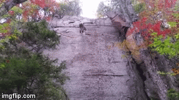 Falling rock climber saved *just* in time by harness Metro News