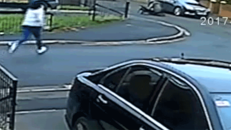 Woman dragged to ground and mauled by pair of Staffordshire bull