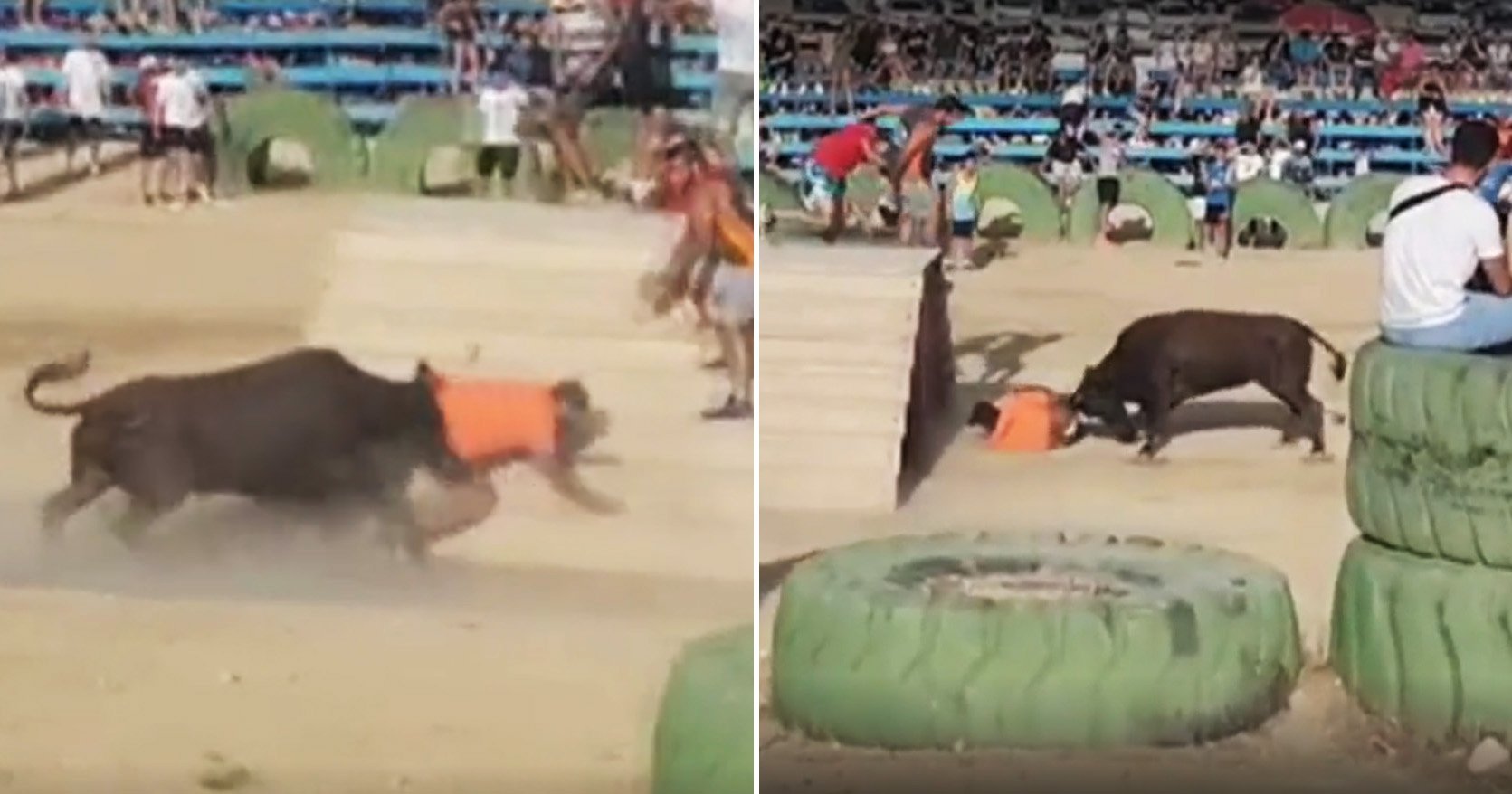 Man dies after bull gores him at Spanish festival in Alicante Metro News