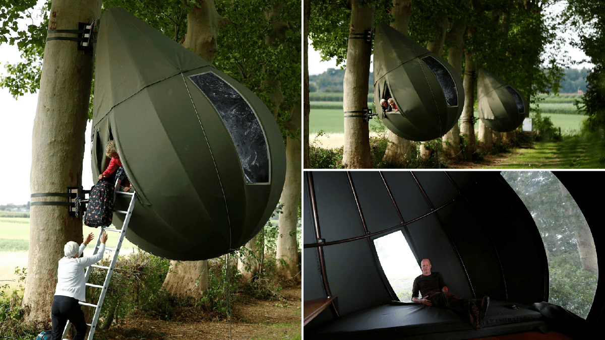 zone post image for post 12961794